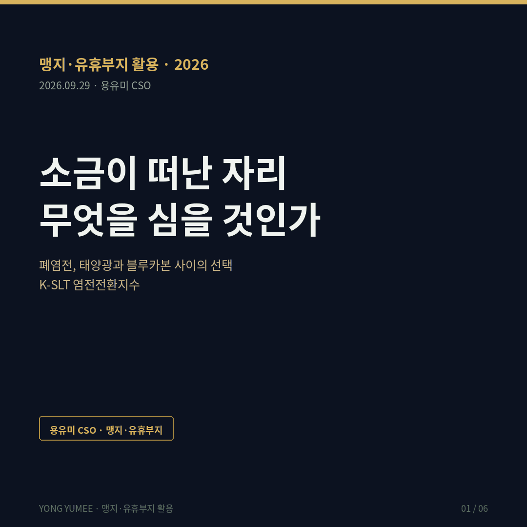 소금이 떠난 자리에 무엇을 심을 것인가 폐염전 태양광과 블루카본 사이의 선택 K-SLT Index 맹지 유휴부지 활용 폐업 염전 889헥타르 태양광 전환 82퍼센트 733헥타르 양식장 13퍼센트 천일염 생산 61퍼센트 감소 미국 사우스베이 염전 복원 3770에이커 프랑스 카마르그 염전 6000헥타르 IPCC 블루카본 인정 Costanza 1997 생태계서비스 Wunder 2005 환경서비스지불제 국토교통부 연속지적도 토지임야정보 API 반증 조건 가장 약한 고리 면책 투자권유 아님 용유미 CSO